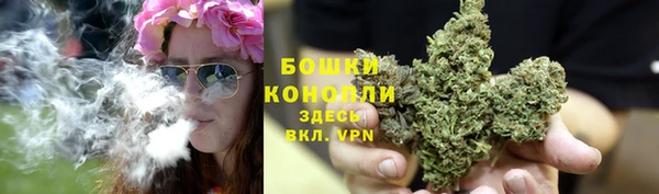 дурь Козловка