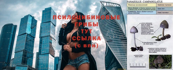 соль курить ск Киреевск